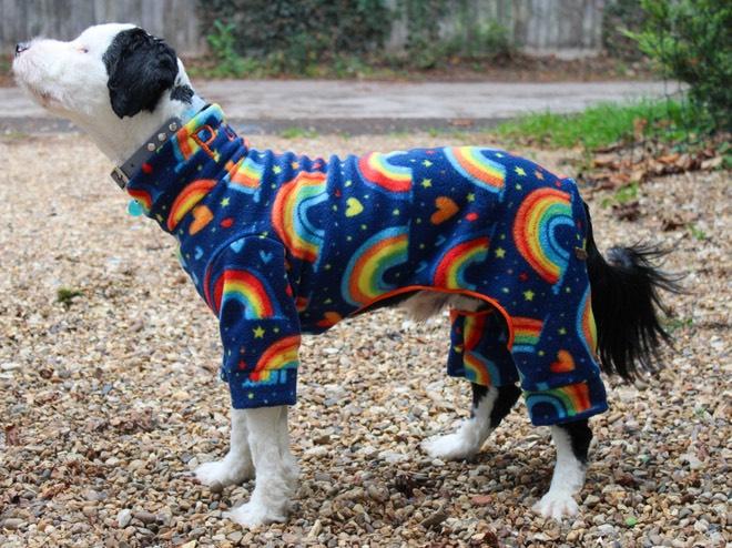 Rainbow Design Waterproof Fleece Suit Also Available as a Jumper or Coat