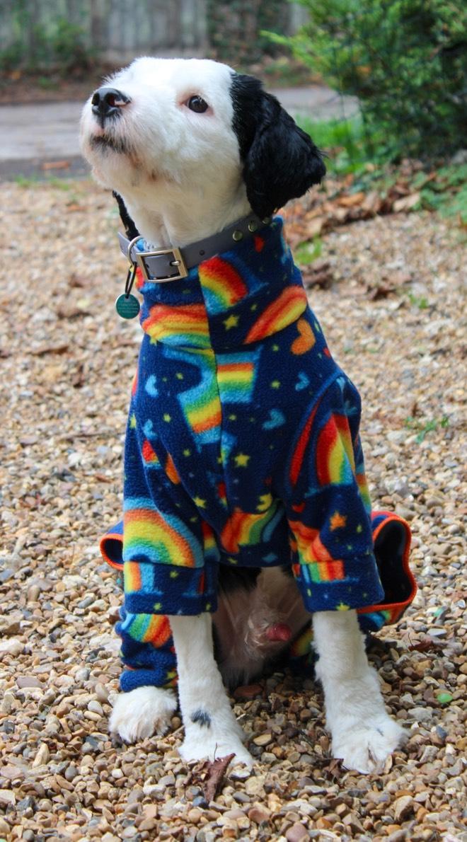 Rainbow Design Waterproof Fleece Suit Also Available as a Jumper or Coat