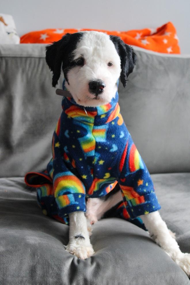 Rainbow Design Waterproof Fleece Suit Also Available as a Jumper or Coat