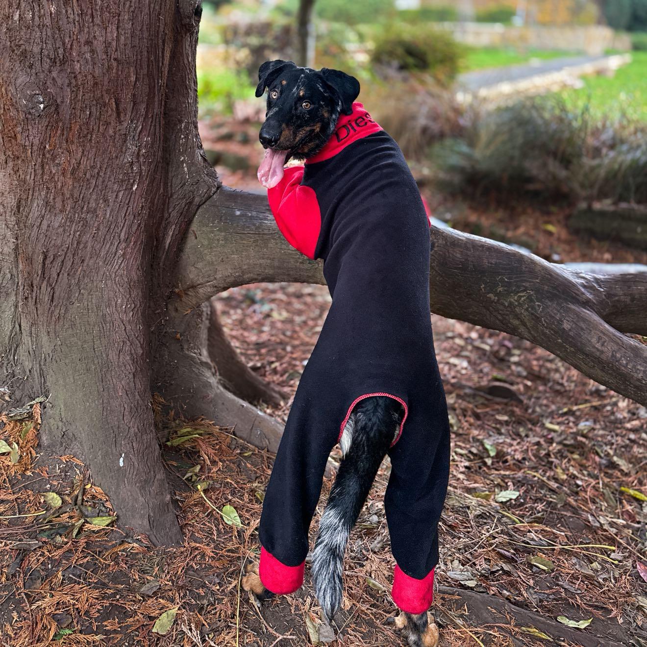 Black & Red Waterproof Fleece Suit Also Available as a Jumper or Coat