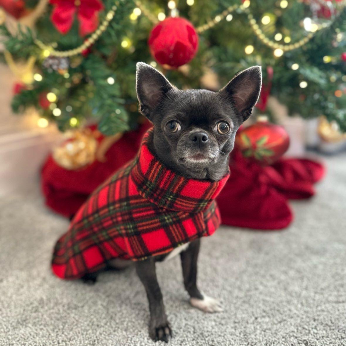 Christmas Tartan Waterproof Fleece Coat Also Available as a Jumper or Suit