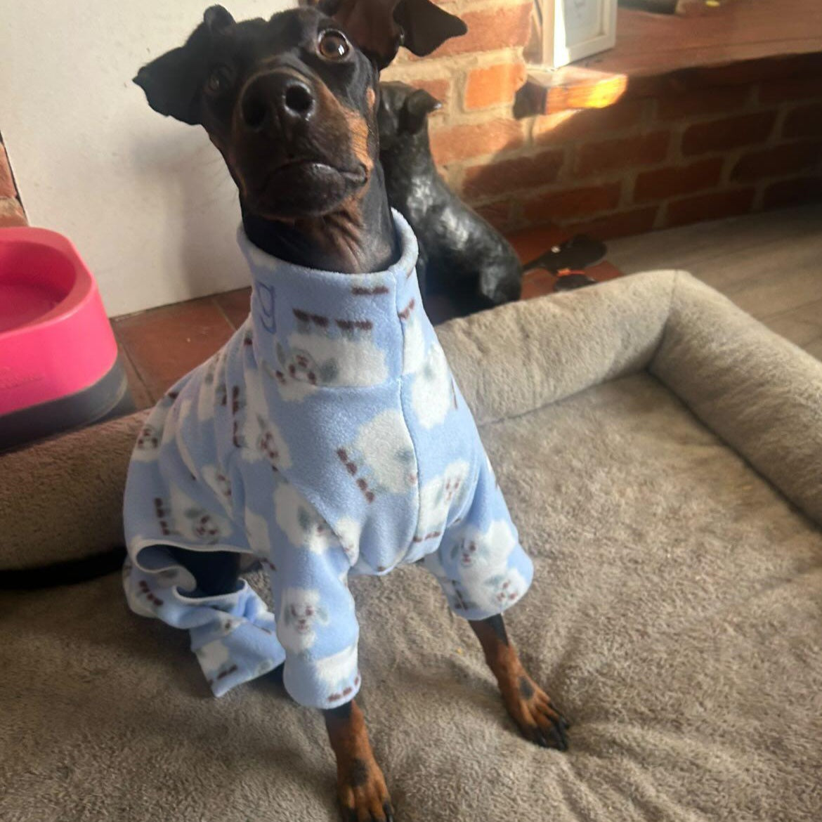 Waterproof Fleece Suit in Blue Sheep Print Design Also Available as a Jumper or  Coat