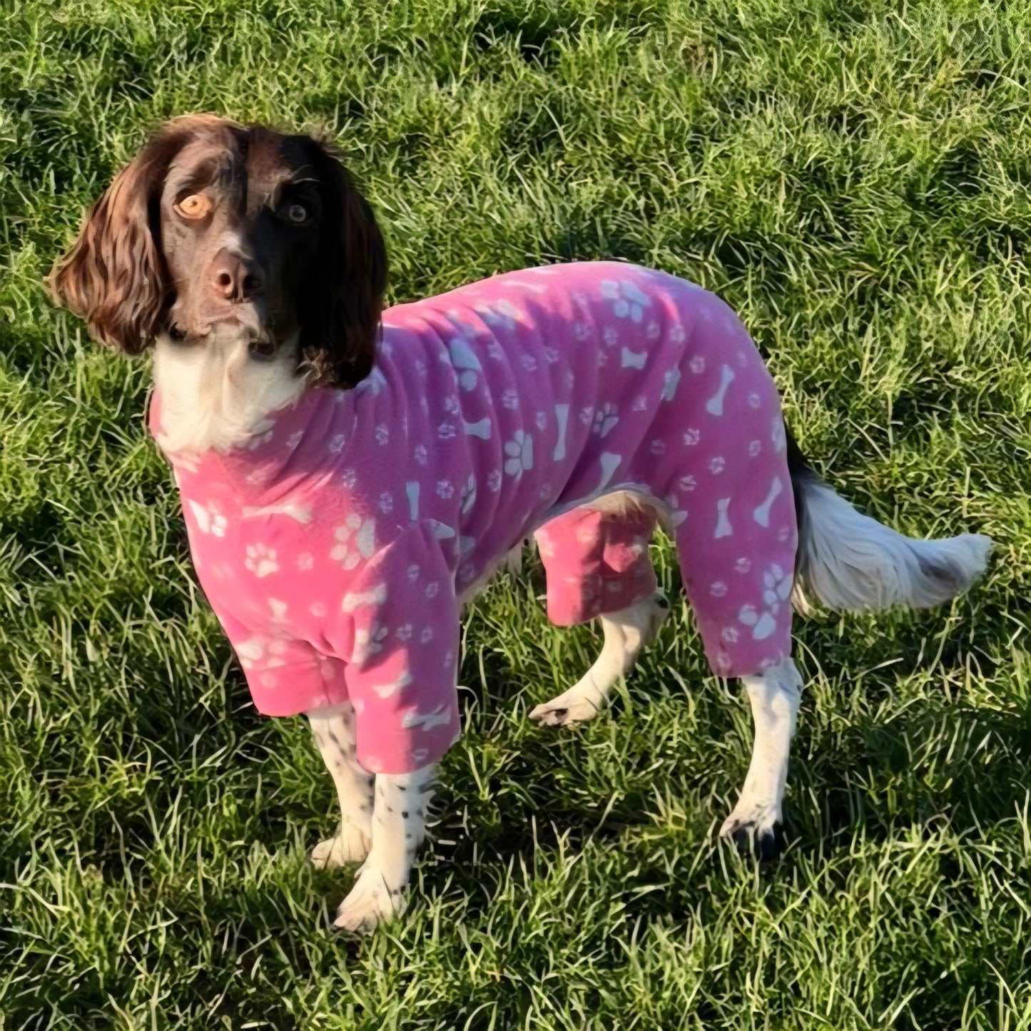 Waterproof Fleece Suit in Pink Paws & Bones Design Also Available as a Jumper or Coat