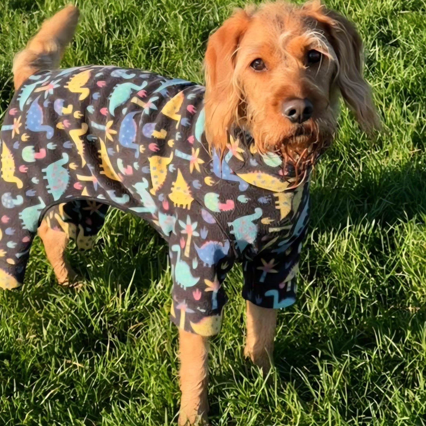 Waterproof Fleece Suit in Dinosaur Print Design Also Available as a Jumper or Coat
