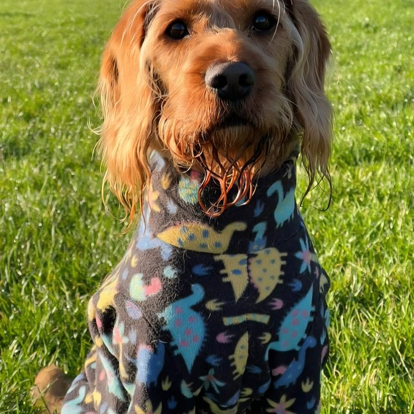 Waterproof Fleece Suit in Dinosaur Print Design Also Available as a Jumper or Coat