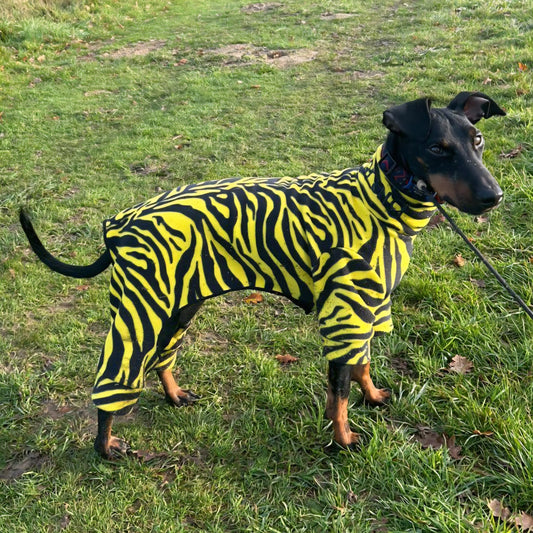 Waterproof Fleece Suit in Yellow Zebra Design Also Available as a Jumper or Coat