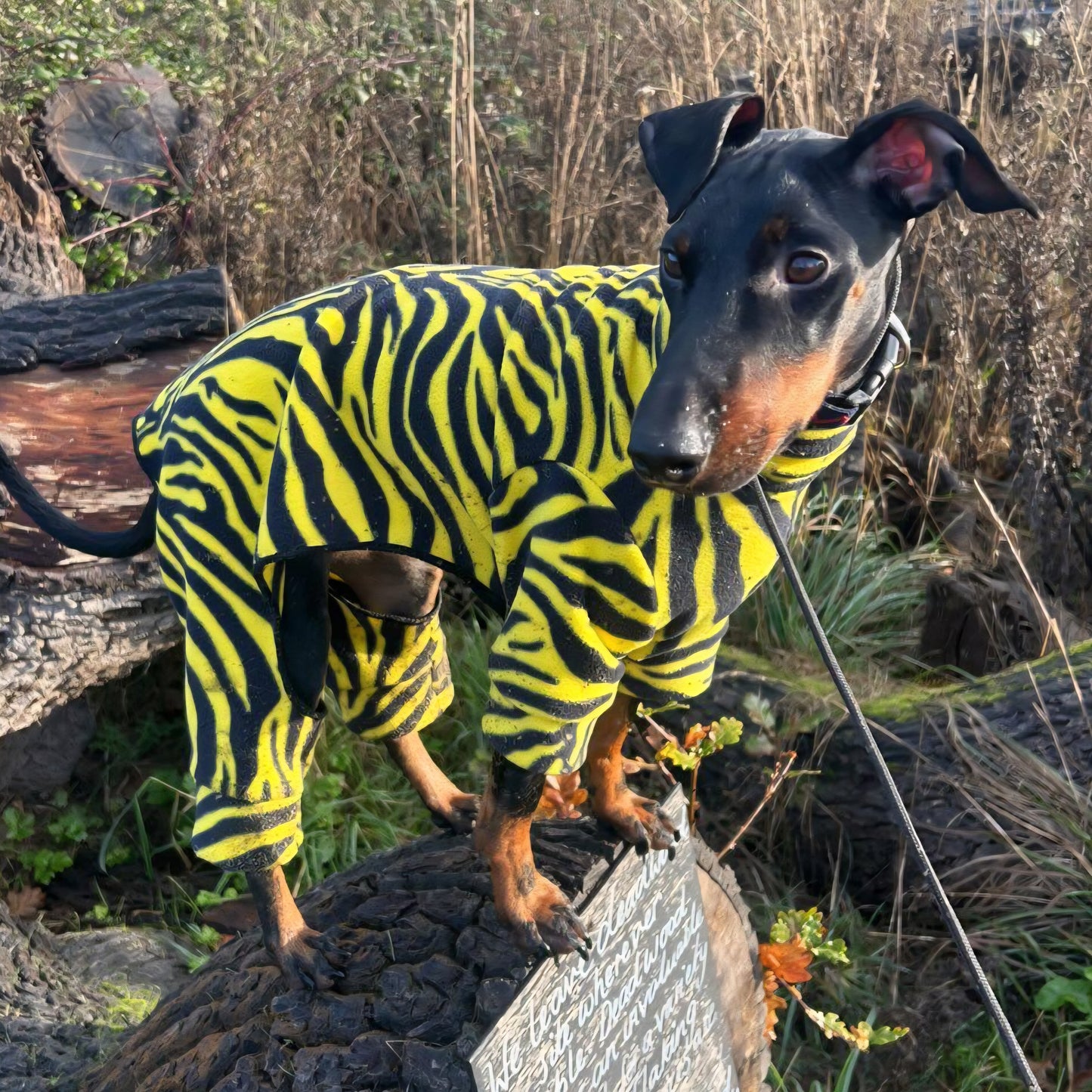 Waterproof Fleece Suit in Yellow Zebra Design Also Available as a Jumper or Coat