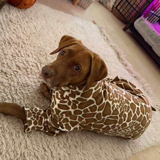 Waterproof Fleece Suit in Giraffe Print Design Also Available as a Jumper or Coat