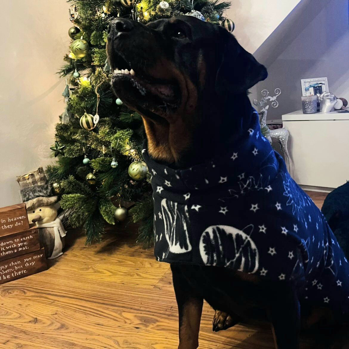 Waterproof Fleece Coat in Black Celestial Print Design Also Available as a Jumper or Suit