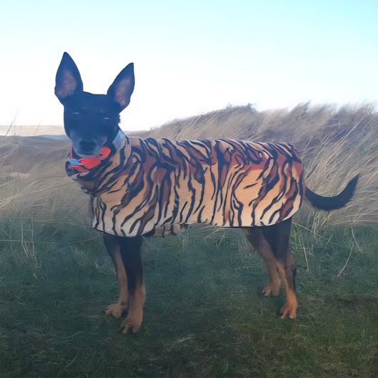 Waterproof Fleece Coat in Tiger Print Design Also Available as a Jumper or Suit