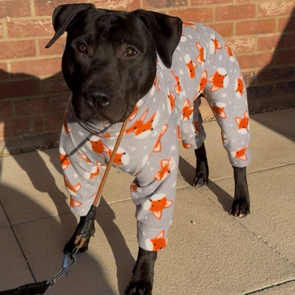 Waterproof Fleece Suit in Grey Fox Print Design Also Available as a Jumper or Coat
