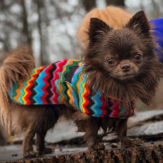 Waterproof Fleece Coat in Bright Zig Zag Print Design Also Available as a Jumper or Suit