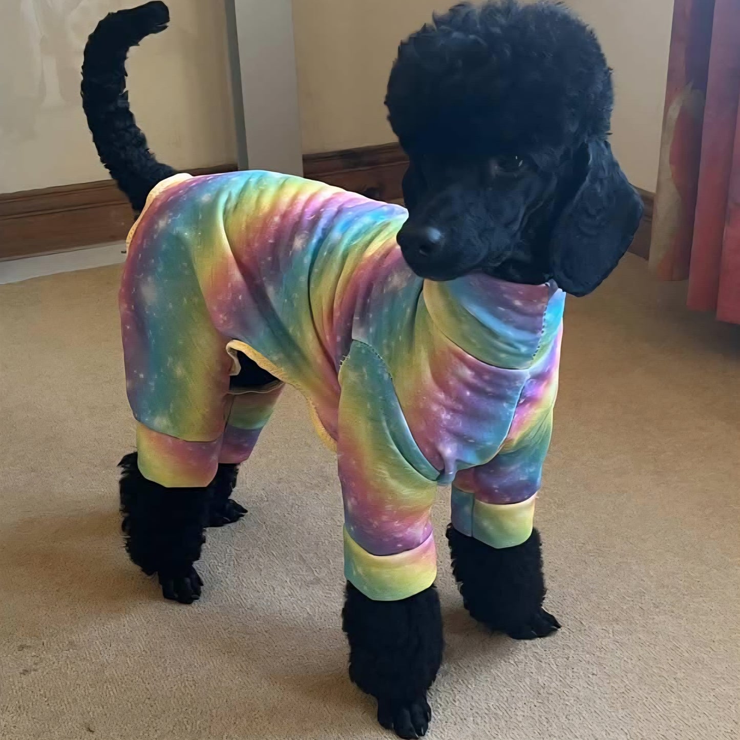 Lightweight T Shirt Style Fabric in Rainbow Design Also Available as a Jumper