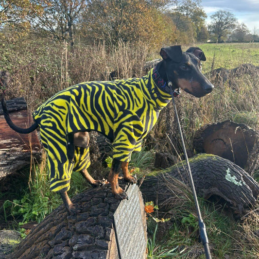 Waterproof Fleece Suit in Yellow Zebra Print Design Also Available as a Jumper or Coat