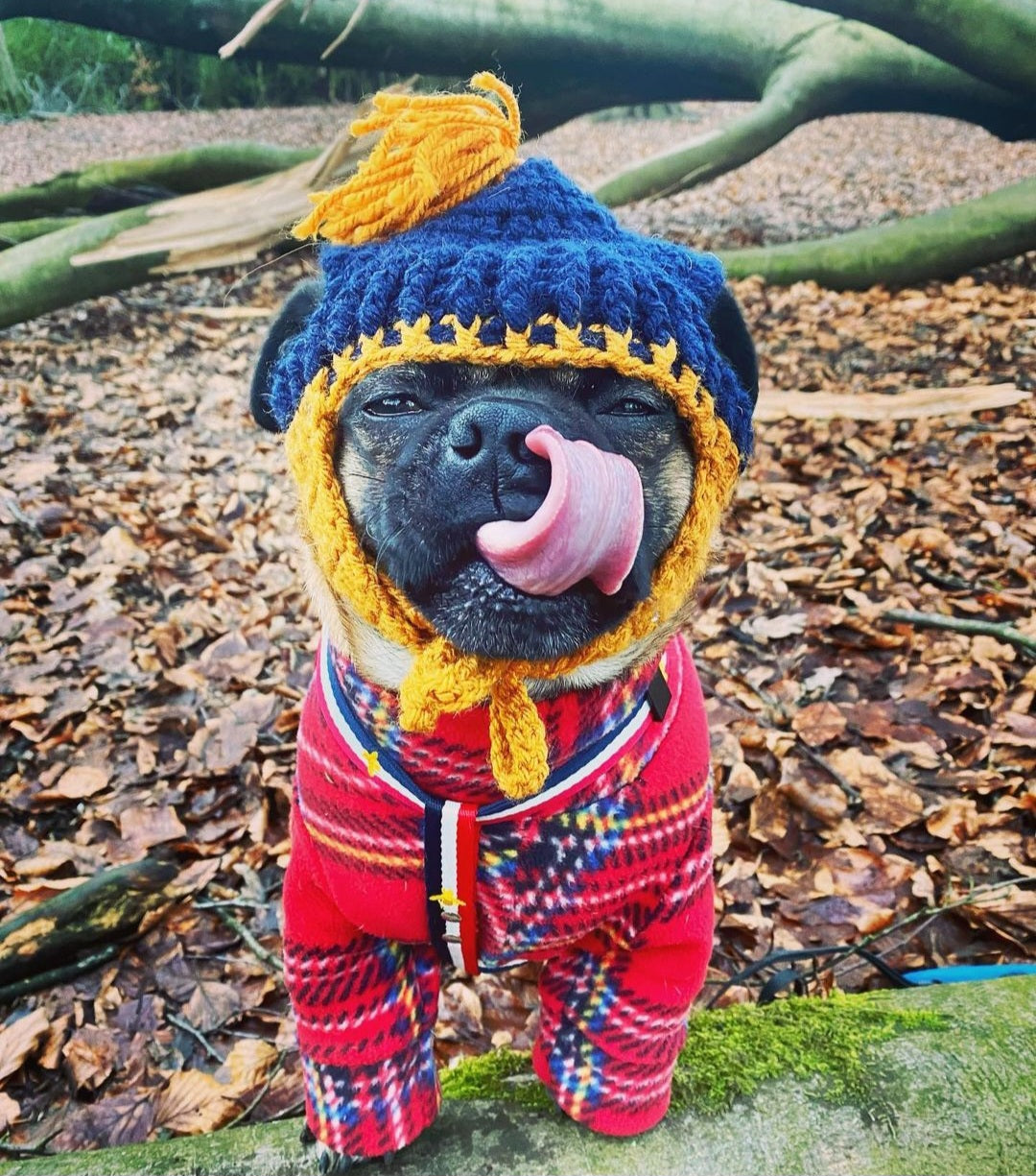 Waterproof Fleece Suit in Red Tartan Print Design Also Available as a Jumper Tankie or Coat
