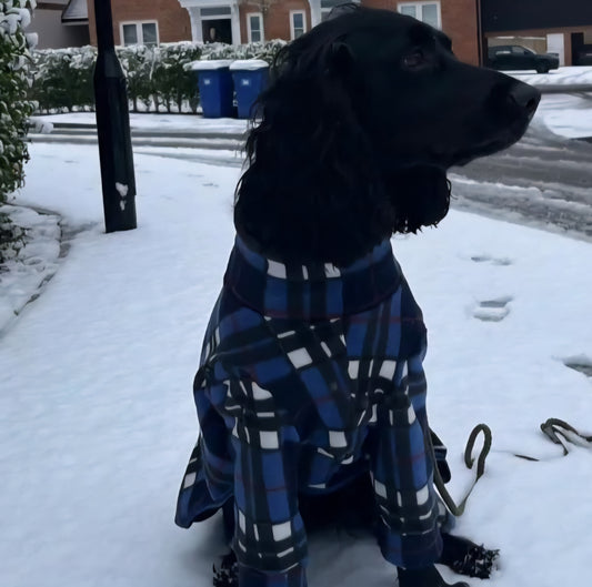 Waterproof Fleece Suit in Blue Tartan Design Also Available as a Jumper  Tankie or Coat