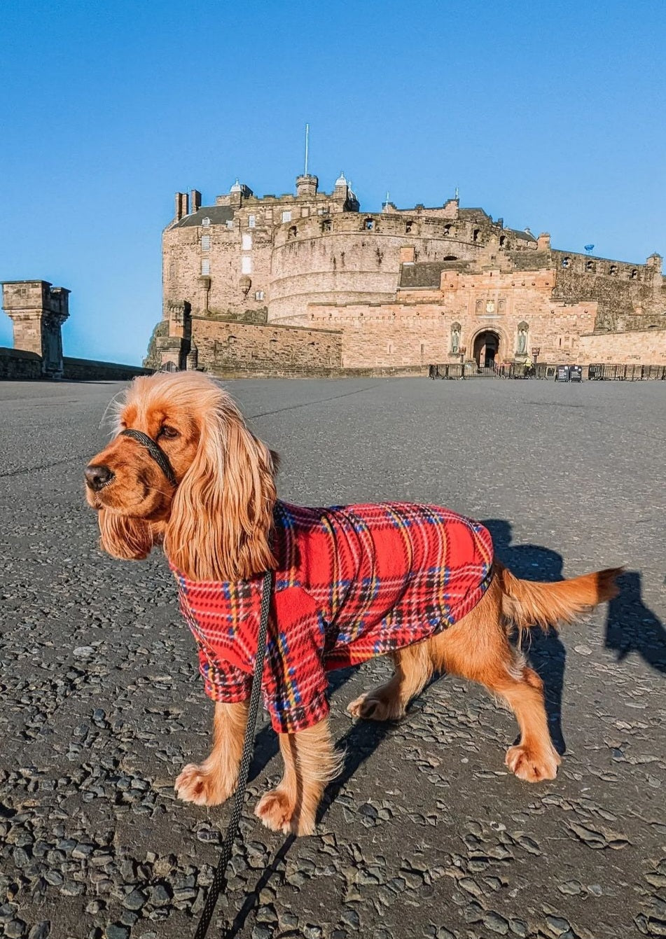 Waterproof Fleece Suit in Red Tartan Print Design Also Available as a Jumper Tankie or Coat