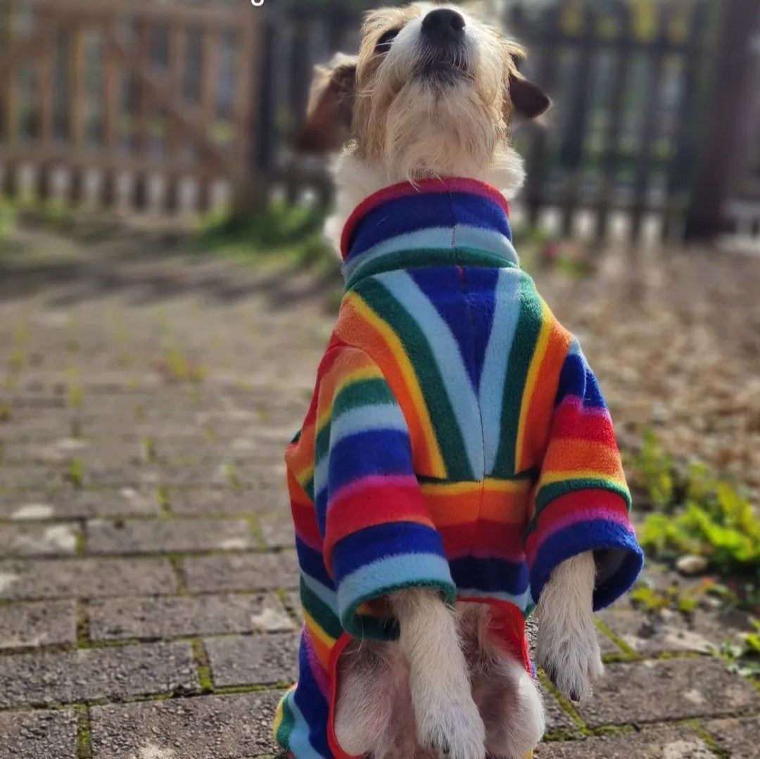 Waterproof Fleece Suit in Rainbow Print Design Also Available as a Jumper Tankie or Coat