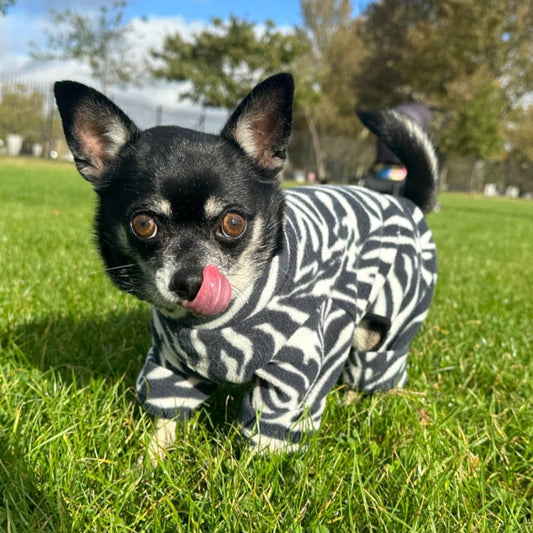 Waterproof Fleece Suit in Zebra Print Design Also Available as a Jumper Tankie or Coat
