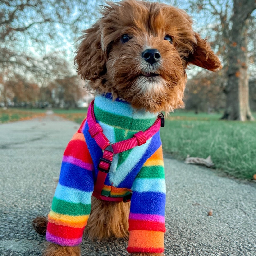 Waterproof Fleece Suit in Rainbow Print Design Also Available as a Jumper Tankie or Coat