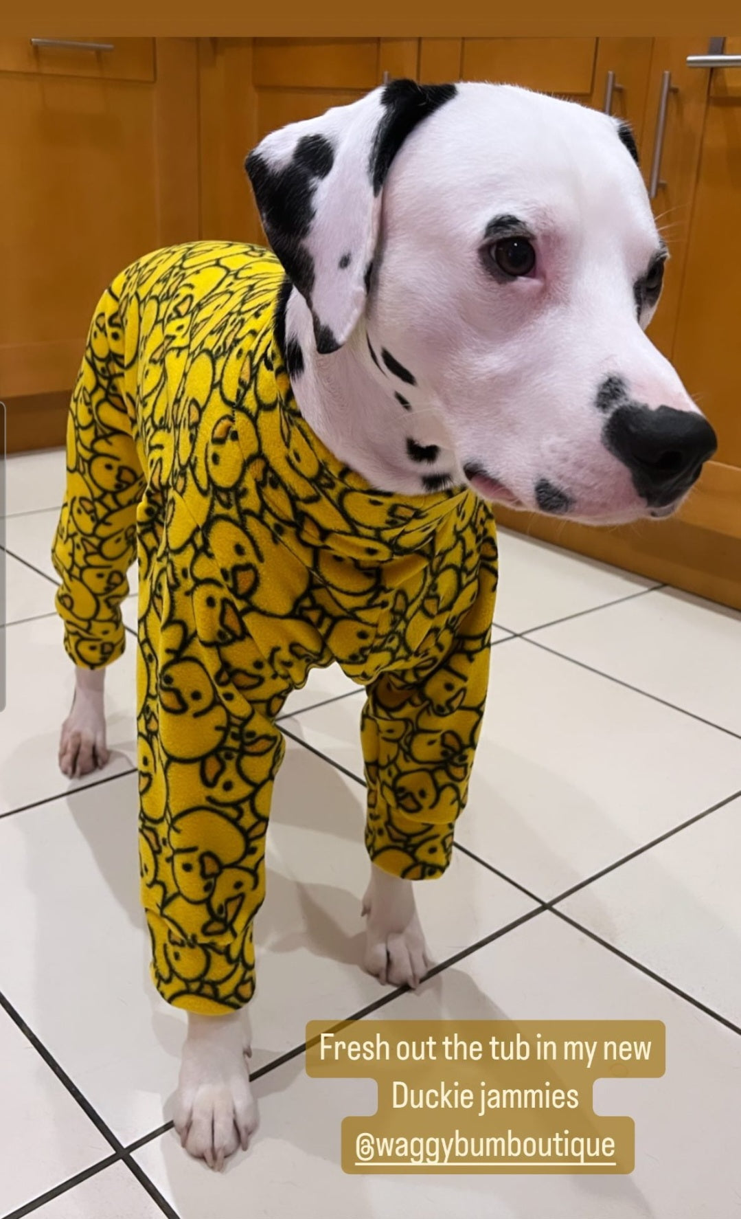 Waterproof Fleece Suit in Yellow Ducky Design Also Available as a Jumper Tankie or Coat
