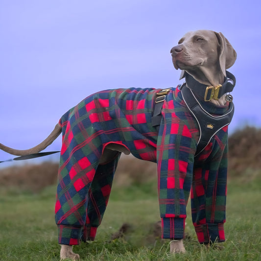 Waterproof Fleece Suit in Red Blue Green Tartan Design Also Available as a Jumper Tankie or Coat