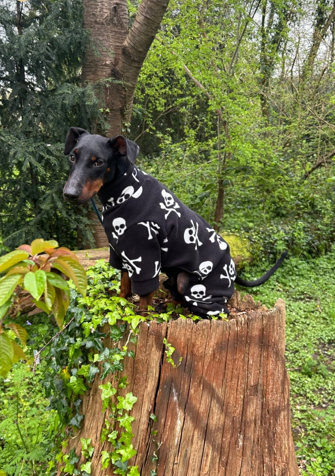 Waterproof Fleece Suit in Black and White Skull Design Also Available as a Jumper  Tankie or Coat