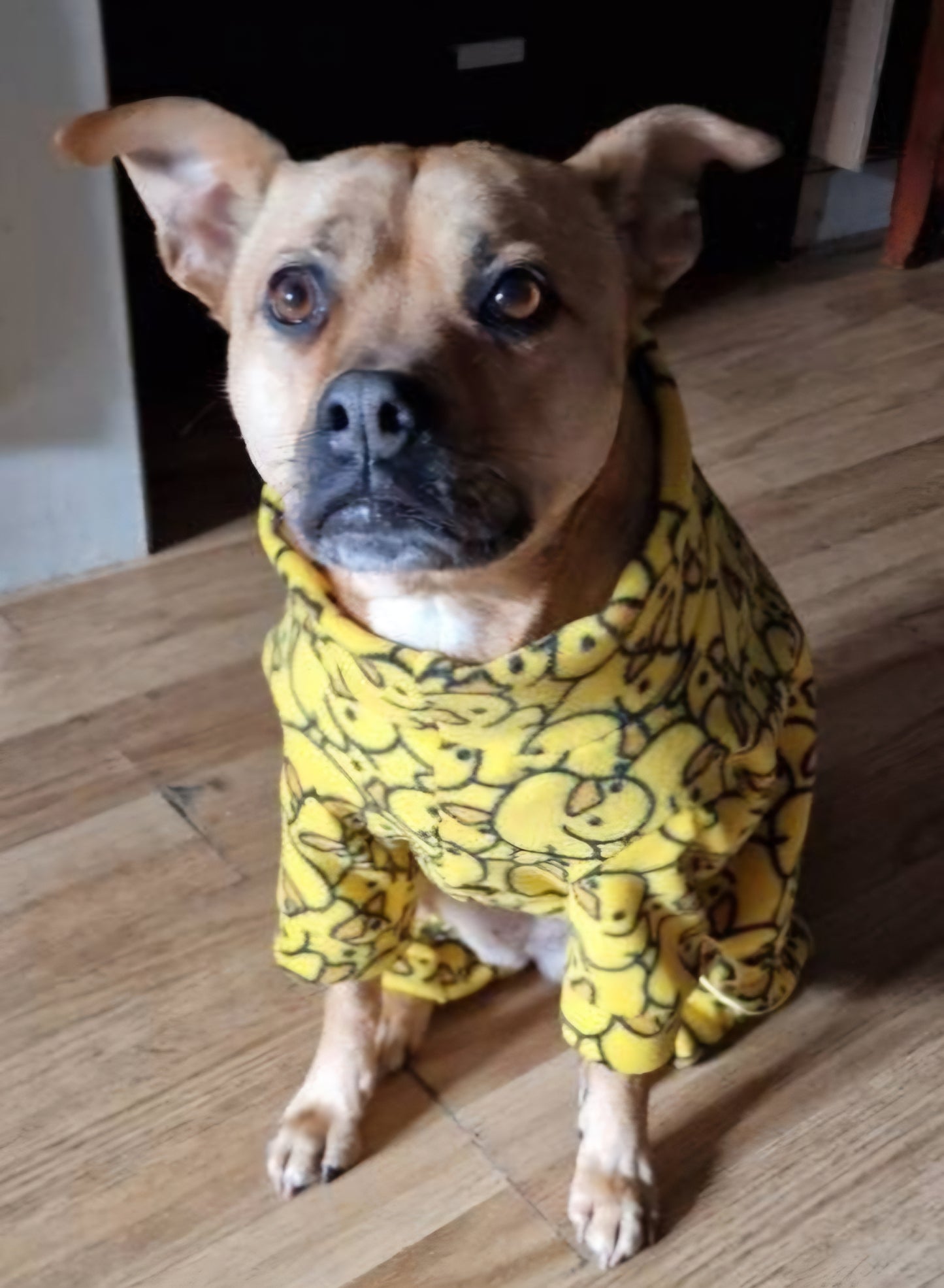 Waterproof Fleece Suit in Yellow Ducky Design Also Available as a Jumper Tankie or Coat