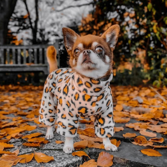 Waterproof Fleece Suit in Leopard Print Design Also Available as a Jumper Tankie or Coat