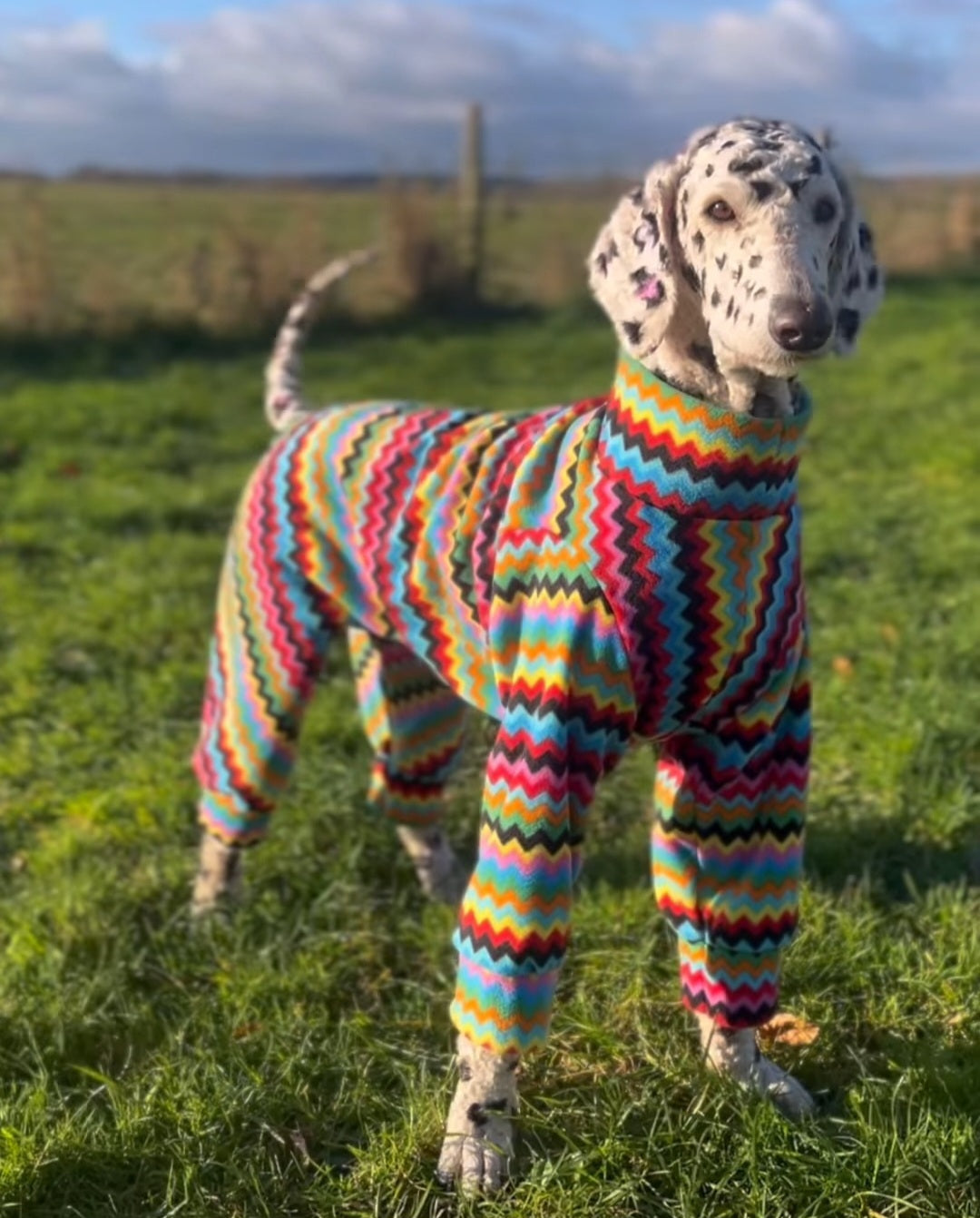 Waterproof Fleece Suit in Bright Zig Zag Print Design Also Available as a Jumper Tankie or Coat