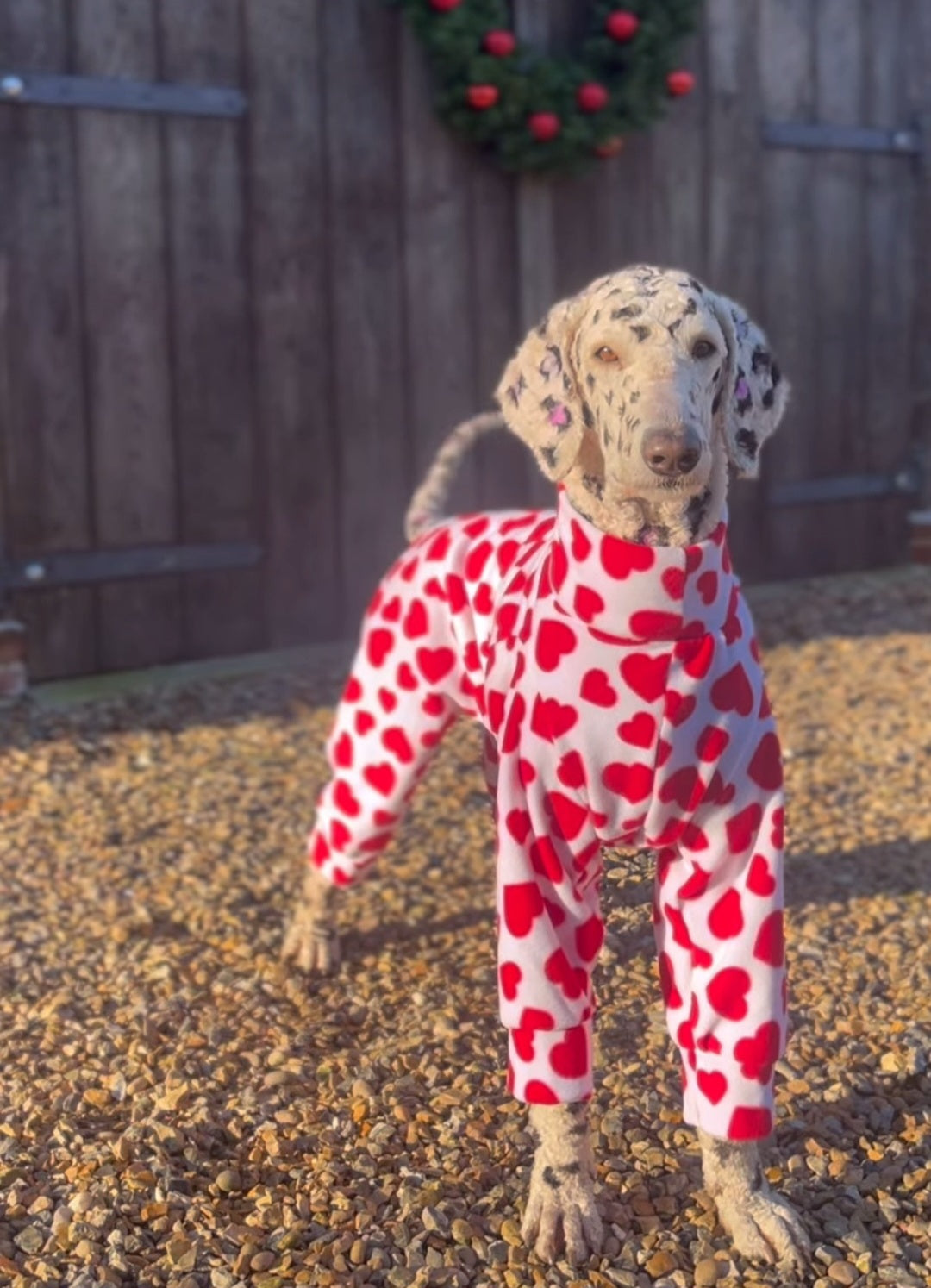 Waterproof Fleece Suit in Heart Print Design Also Available as a Jumper Tankie or Coat