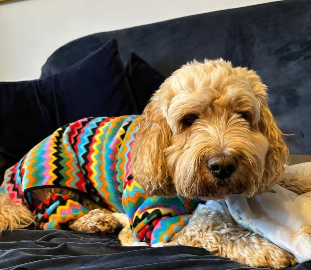Waterproof Fleece Suit in Bright Zig Zag Print Design Also Available as a Jumper Tankie or Coat
