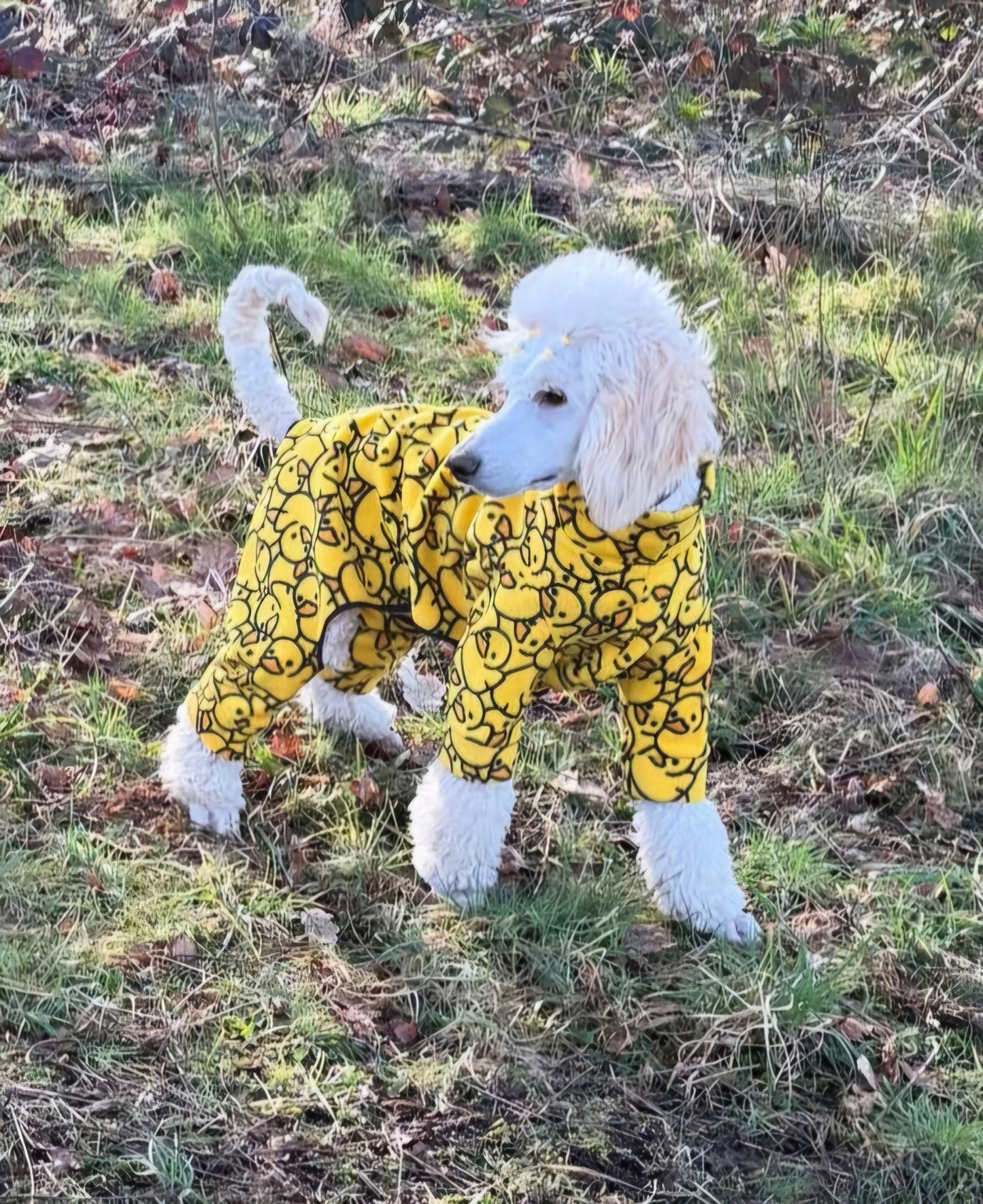 Waterproof Fleece Suit in Yellow Ducky Design Also Available as a Jumper Tankie or Coat