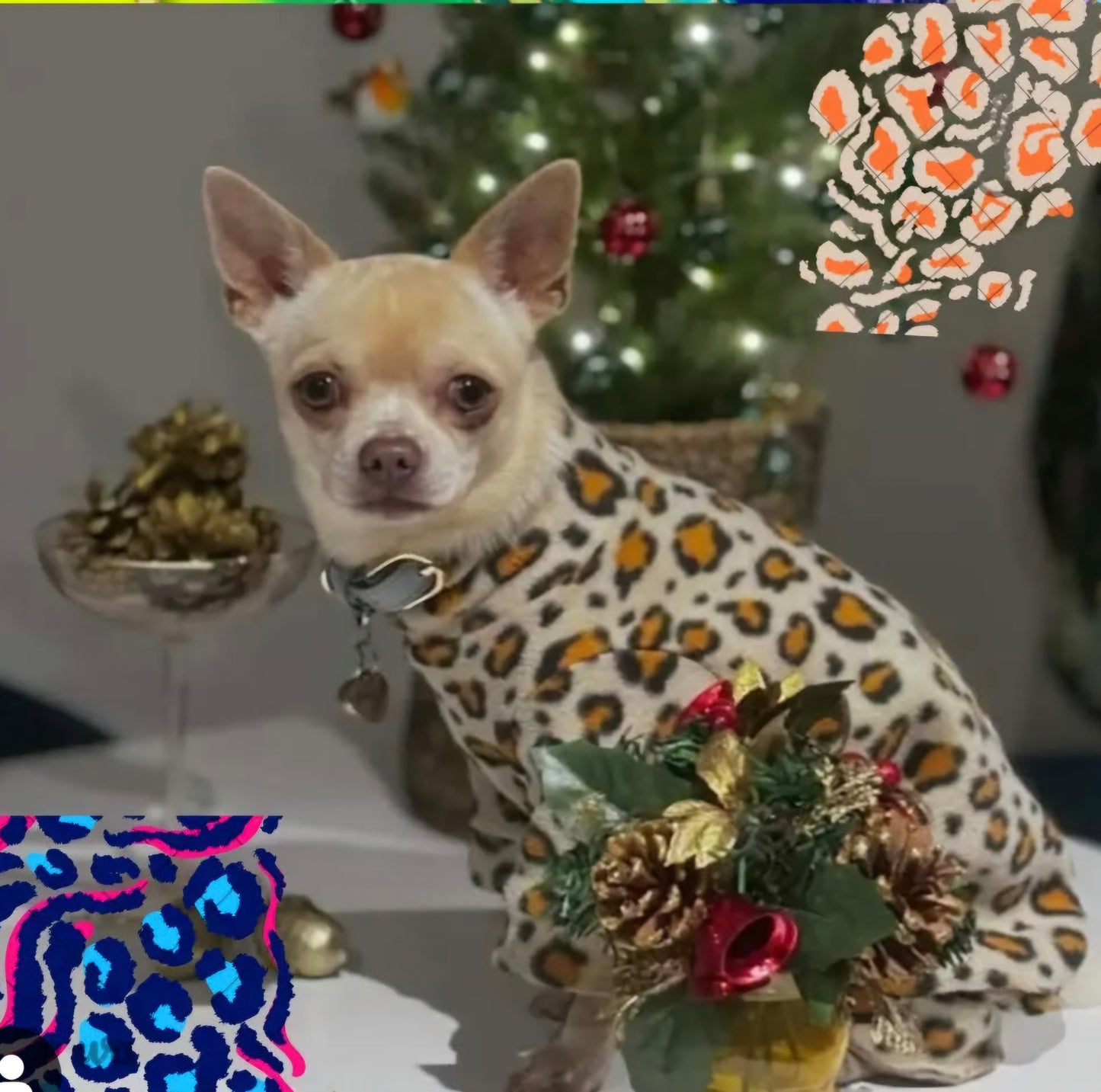 Waterproof Fleece Suit in Leopard Print Design Also Available as a Jumper Tankie or Coat