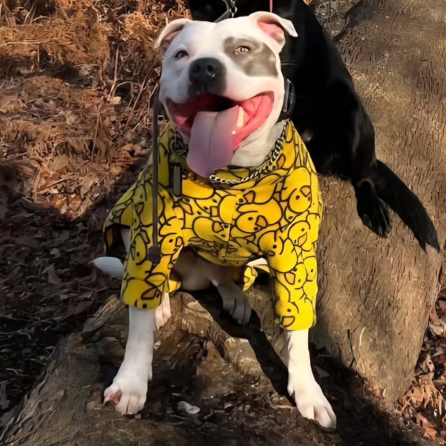 Waterproof Fleece Suit in Yellow Ducky Design Also Available as a Jumper Tankie or Coat