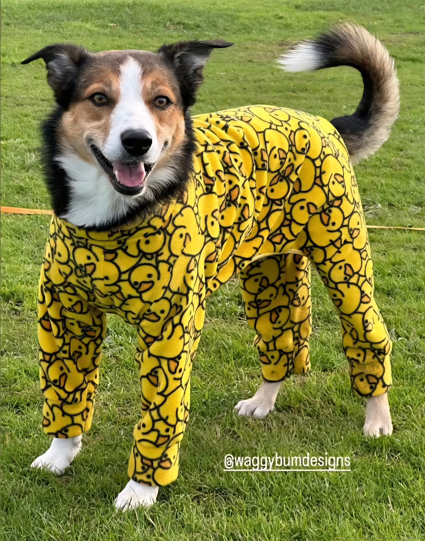 Waterproof Fleece Suit in Yellow Ducky Design Also Available as a Jumper Tankie or Coat