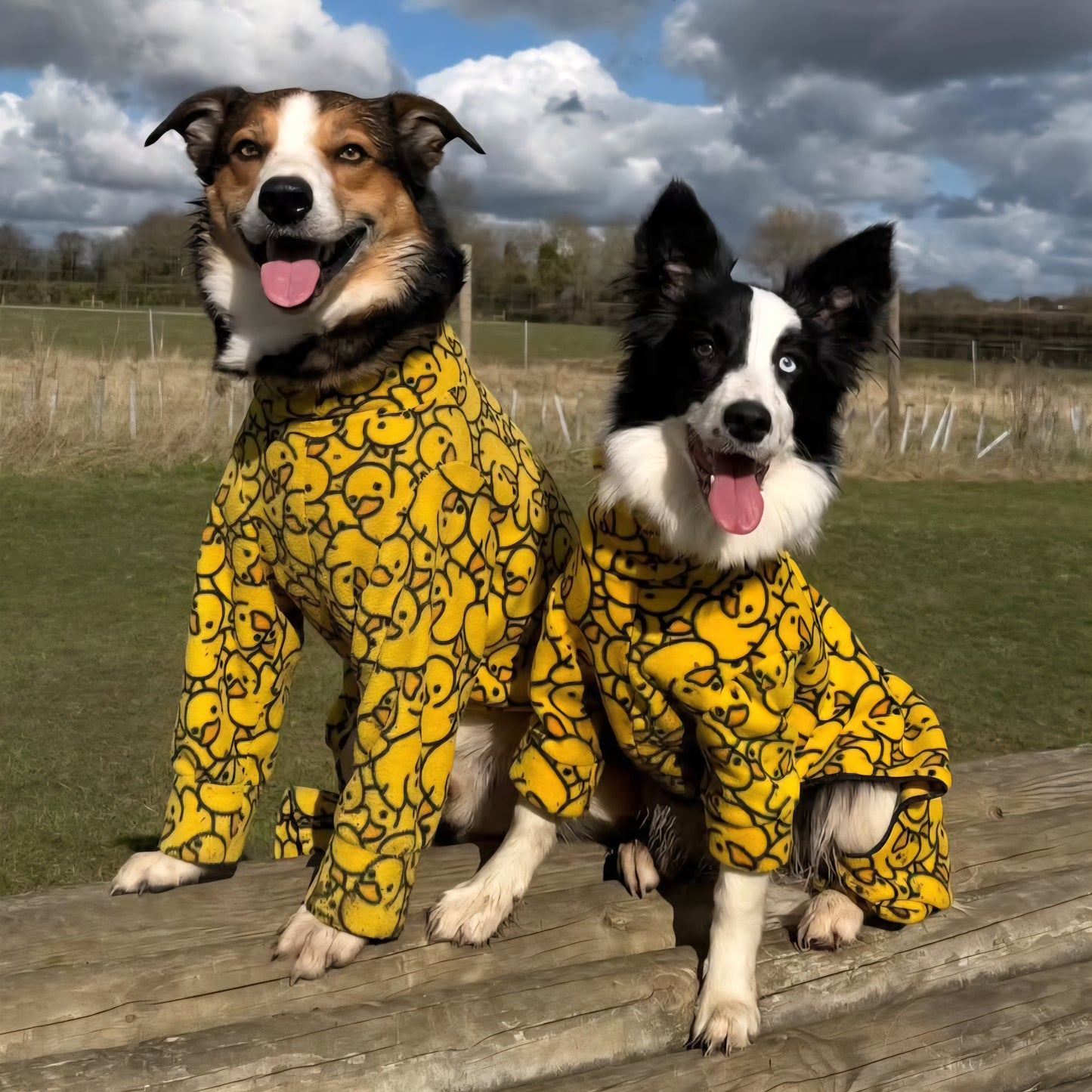 Waterproof Fleece Suit in Yellow Ducky Design Also Available as a Jumper Tankie or Coat