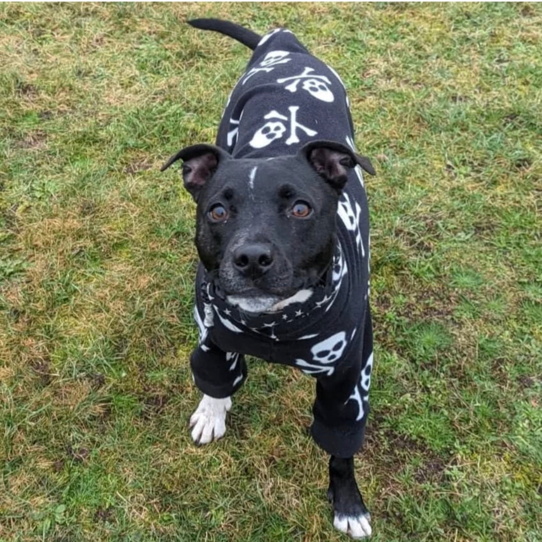 Waterproof Fleece Suit in Black and White Skull Design Also Available as a Jumper  Tankie or Coat
