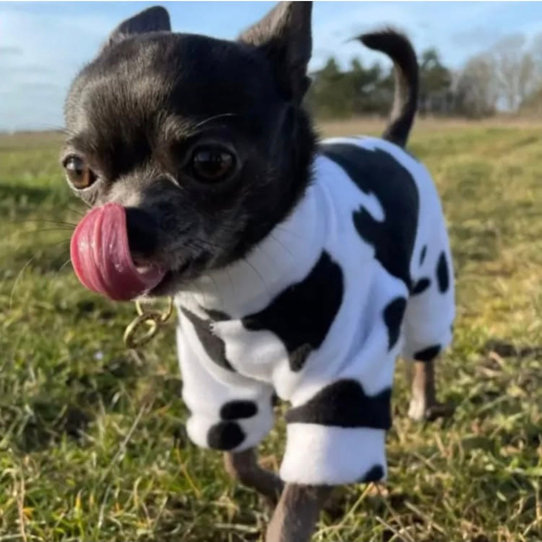 Waterproof Fleece Suit in Cow Print Design Also Available as a Jumper Tankie or Coat