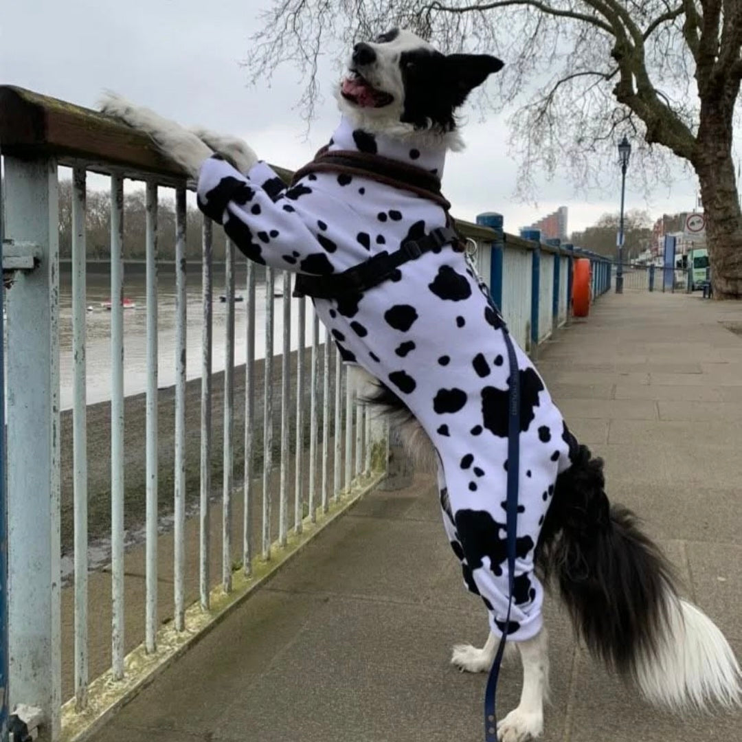 Waterproof Fleece Suit in Cow Print Design Also Available as a Jumper Tankie or Coat