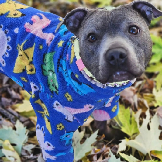Waterproof Fleece Suit in Dinosaur Print Design Also Available as a Jumper Tankie or Coat