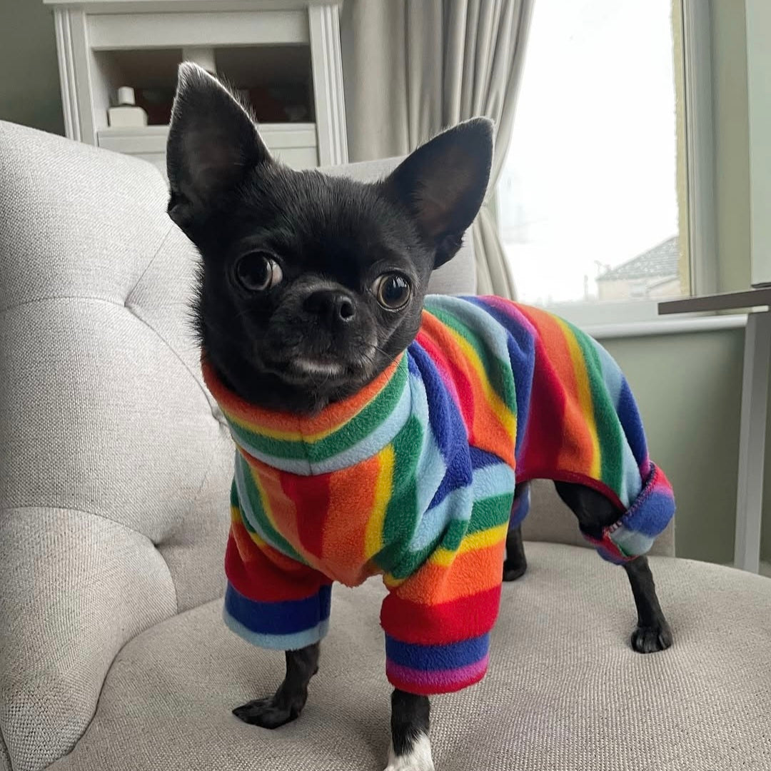 Waterproof Fleece Suit in Rainbow Print Design Also Available as a Jumper Tankie or Coat