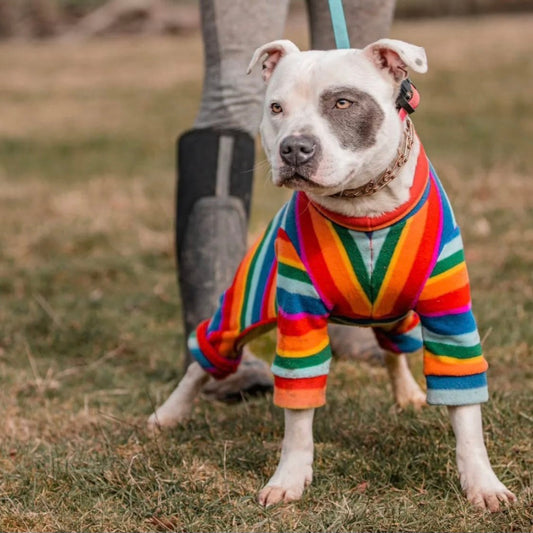 Waterproof Fleece Suit in Rainbow Print Design Also Available as a Jumper Tankie or Coat