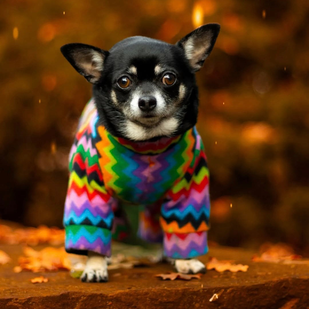 Waterproof Fleece Suit in Zig Zag Print Design Also Available as a Jumper Tankie or Coat