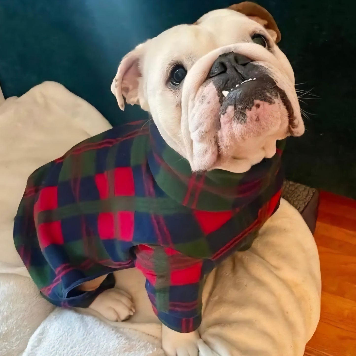 Waterproof Fleece Suit in Red Blue Green Tartan Design Also Available as a Jumper Tankie or Coat