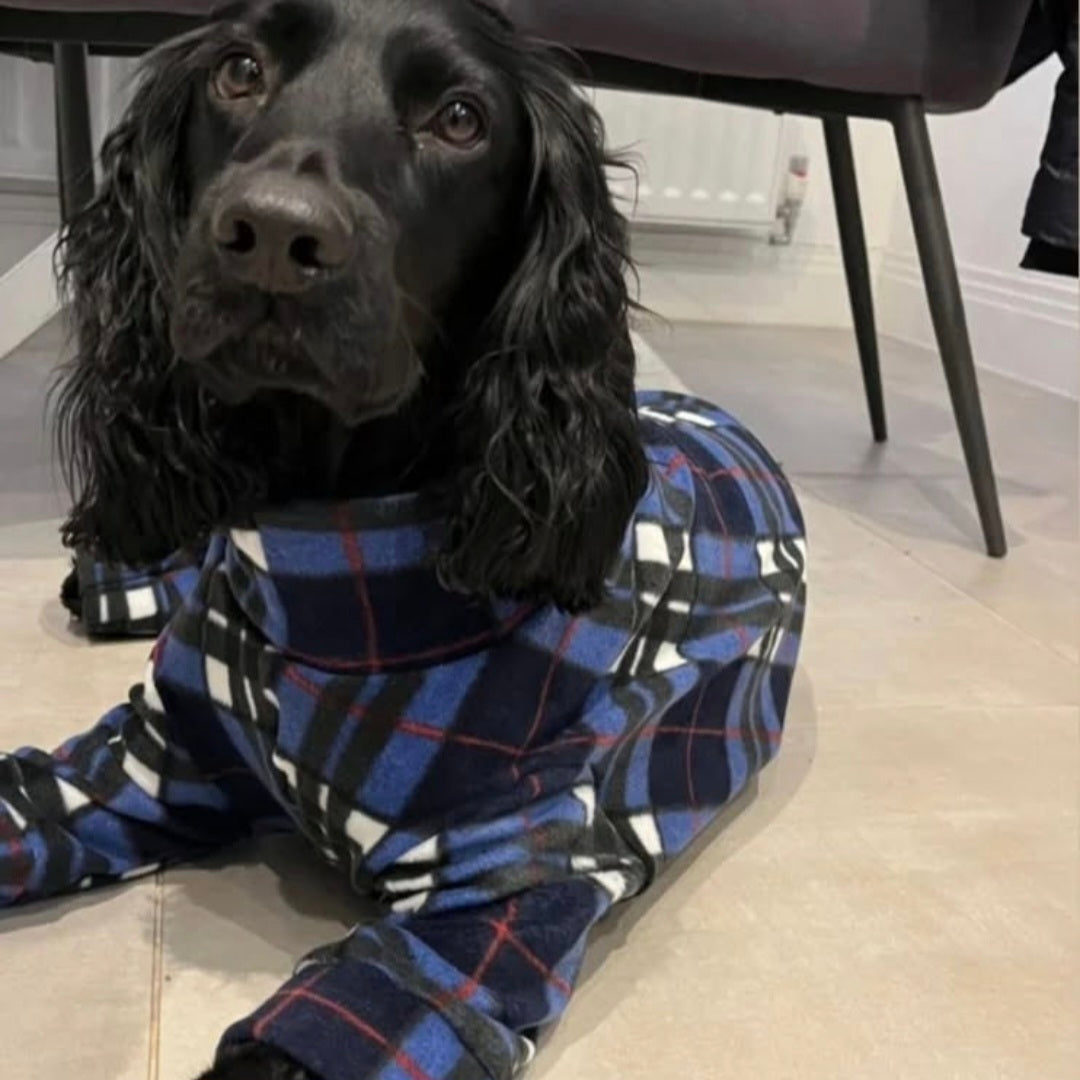 Waterproof Fleece Suit in Blue Tartan Design Also Available as a Jumper  Tankie or Coat