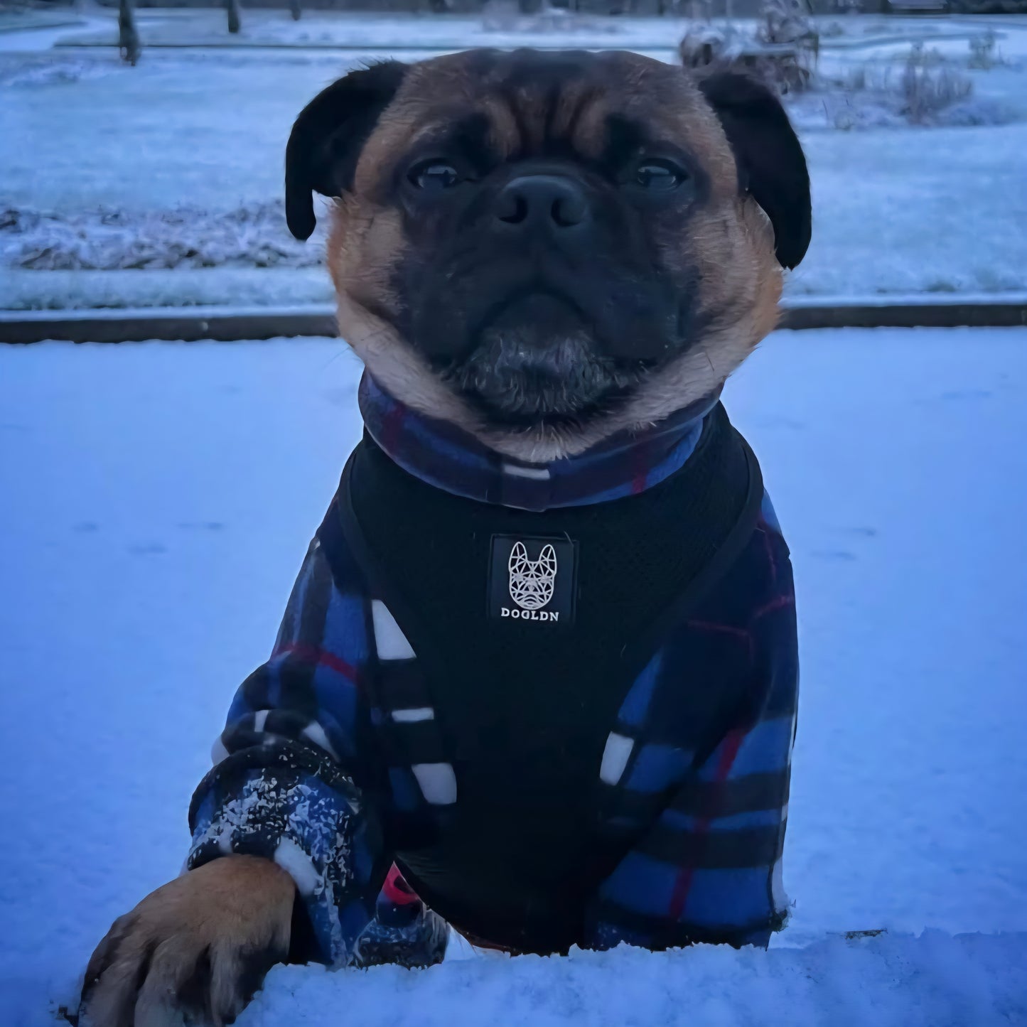 Waterproof Fleece Suit in Blue Tartan Design Also Available as a Jumper  Tankie or Coat
