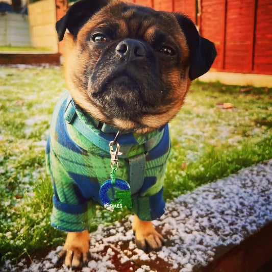 Waterproof Fleece Suit in Blue Green Tartan Design Also Available as a Jumper  Tankie or Coat