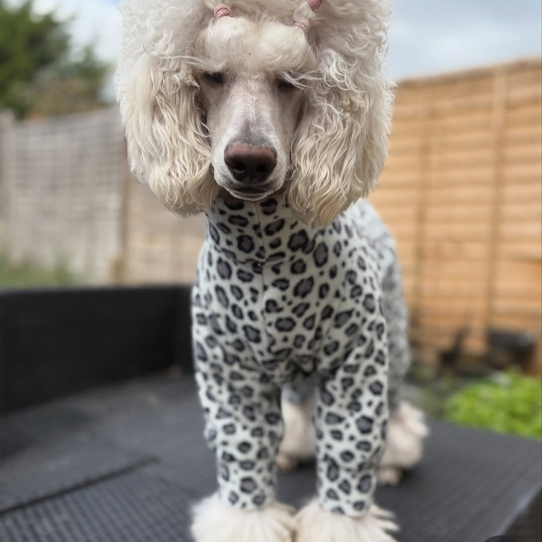Snow Leopard Design Waterproof Fleece Suit Also Available as a Jumper or Coat