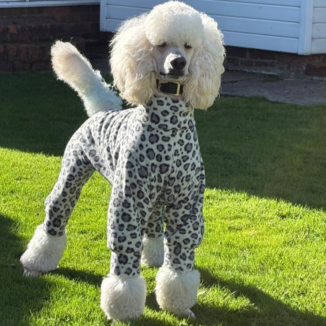 Waterproof Fleece Suit in Snow Leopard Print Design Also Available as a Jumper or  Coat